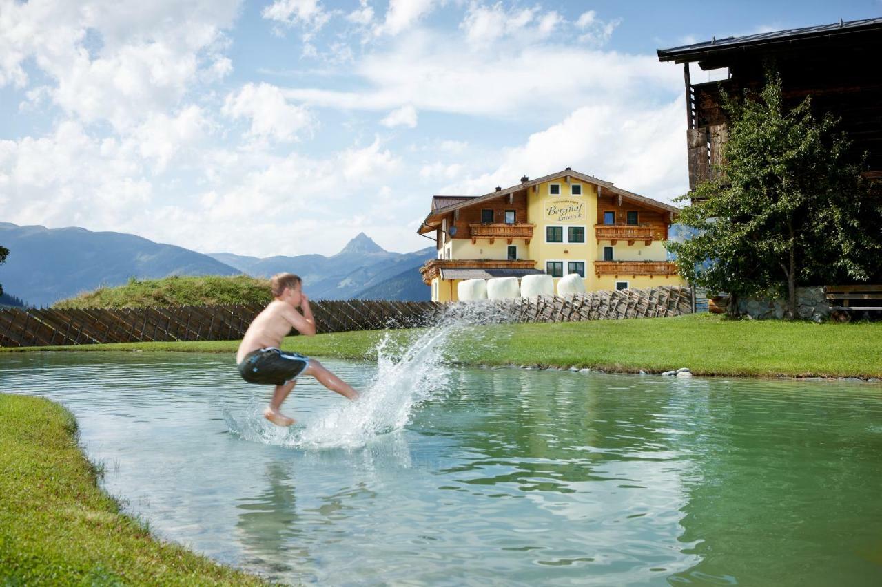 Appartements Luegeck Hollersbach im Pinzgau Exterior photo